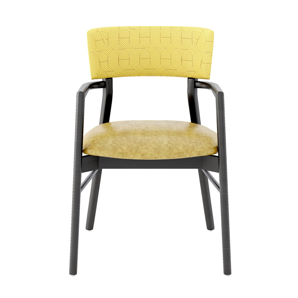 Toldea Armchair Front