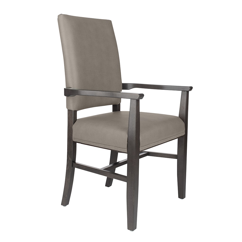 Alta Accent Arm Chair