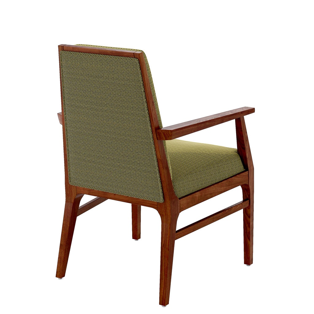 Lucca Armchair Back 45 Angle